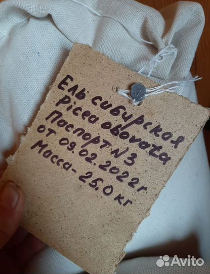 Семена ели от производителя