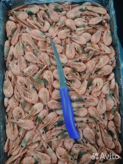 Креветки Северные микс