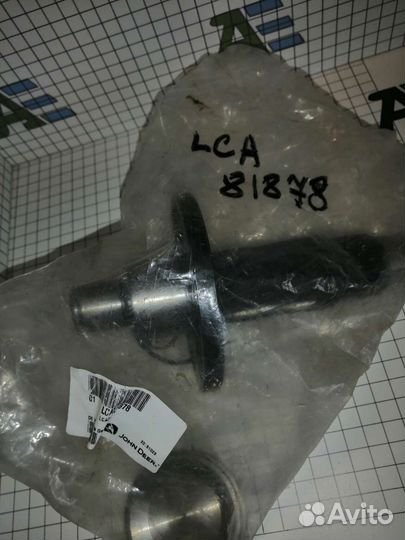 LCA81878