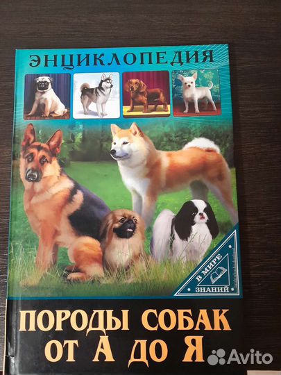 Книги новые детские (начальная школа)