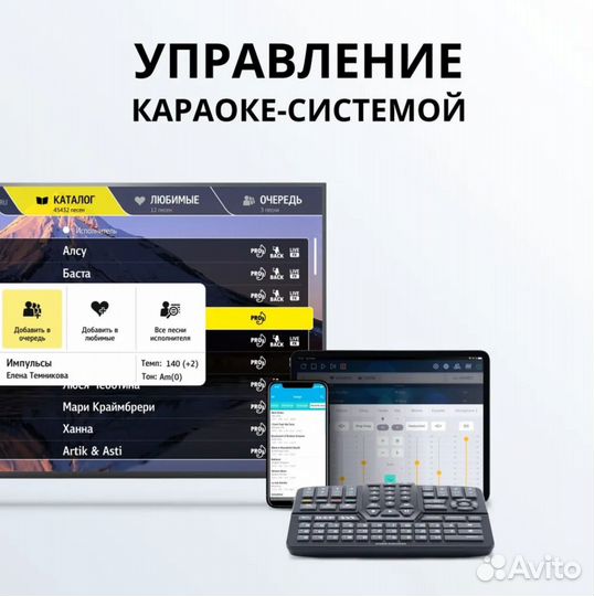 Караоке для дома и кафе Evobox Plus