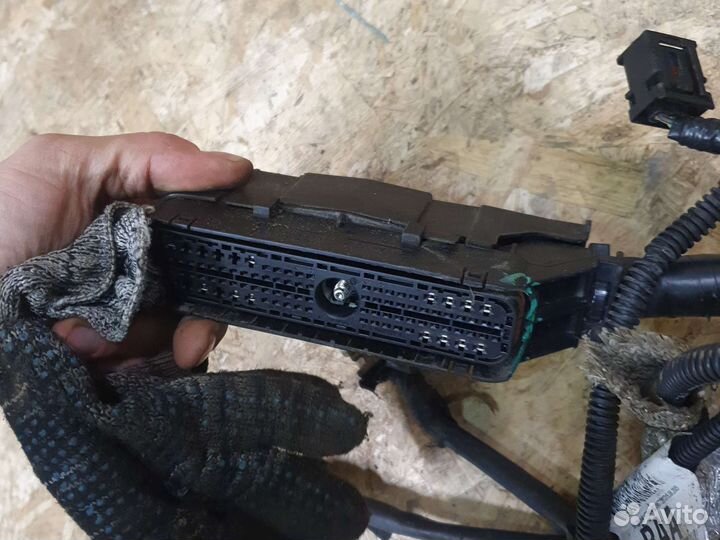 Проводка коса моторная форд фокус 2 1.6 100л.с