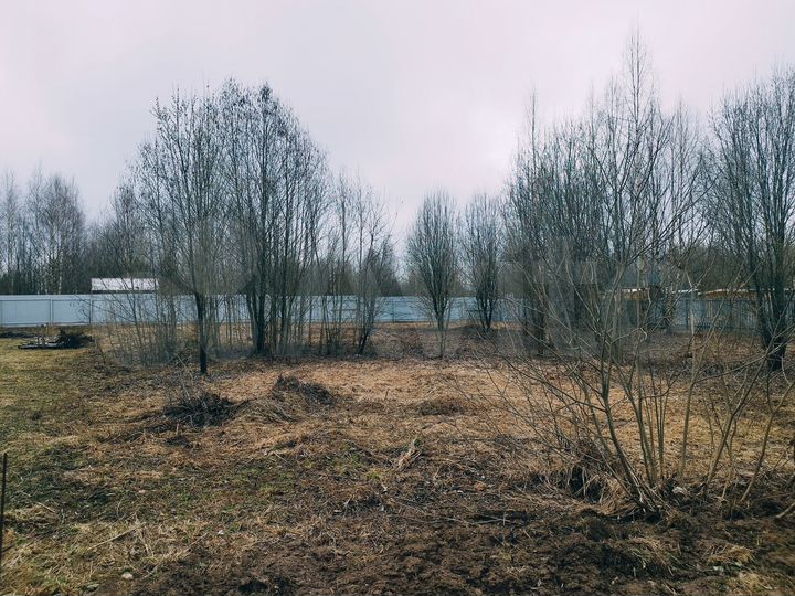 Участок 11,2 сот. (СНТ, ДНП)