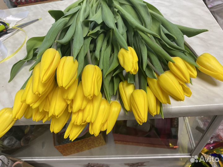 Тюльпаны к 8 марта