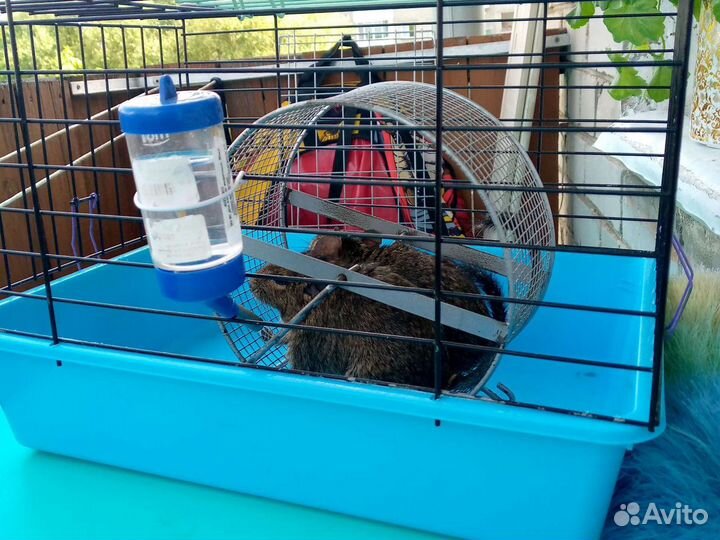 Продается клетка