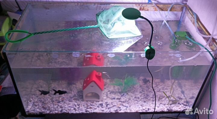 Аквариум