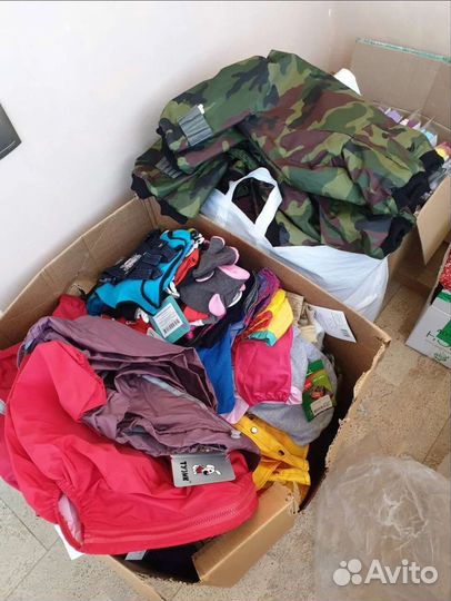 Одежда для собак