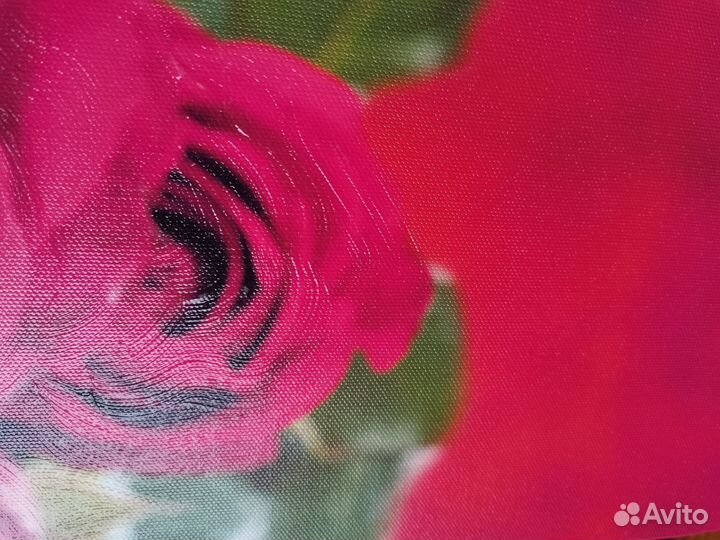 Модульная картина Прекрасная Роза