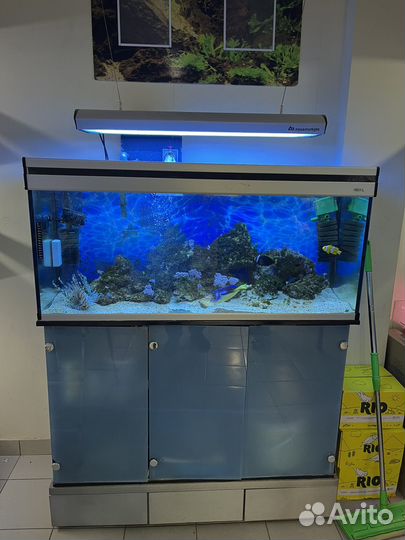 Морской аквариум с рыбками