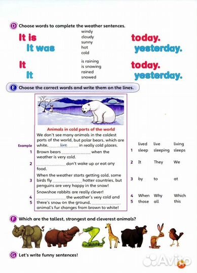 FUN for Movers FUN for Flyers FUN for Starters