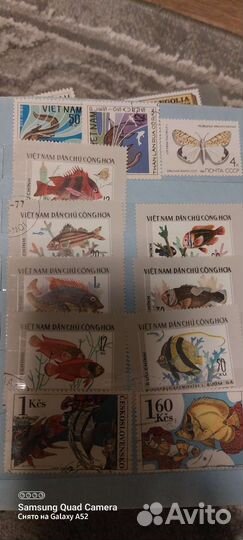 Почтовые марки