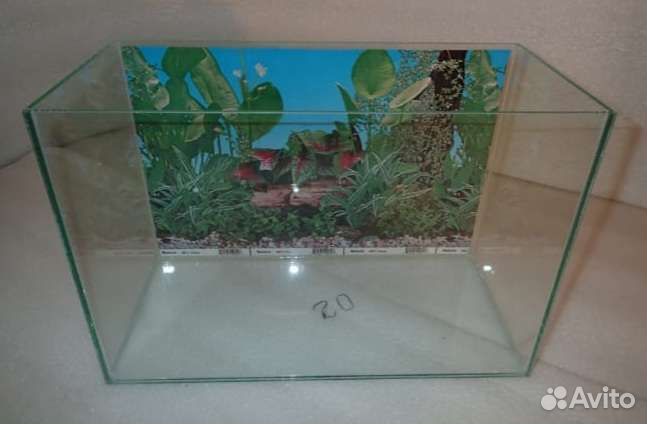 Аквариум