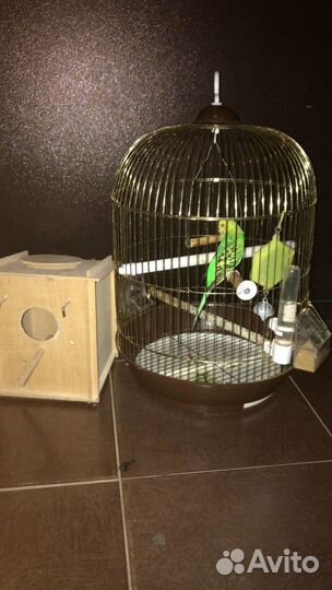 Клетка для попугая