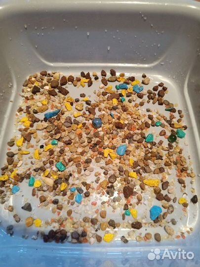 Грунт для аквариума