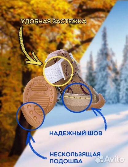 Обувь для собак мелких и средних пород