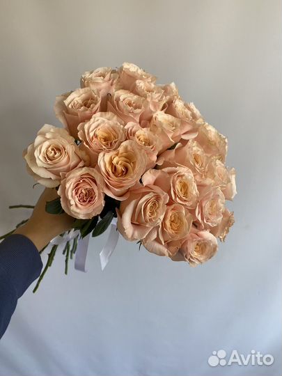 Розы Шиммер