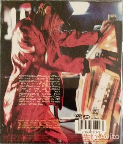 Kid Rock Devil Without A Cause