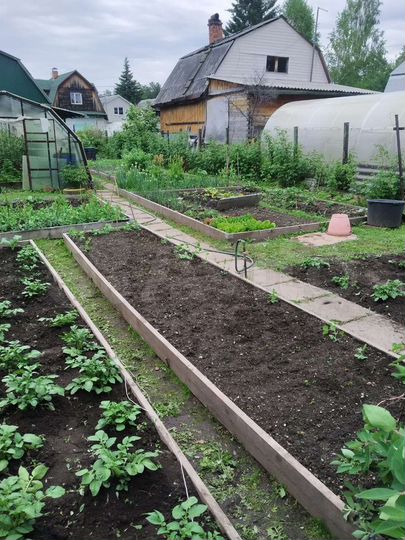 Дом 50 м² на участке 4,5 сот.