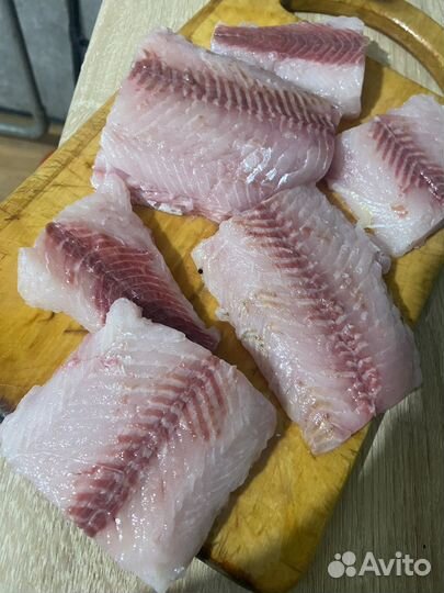 Сиг северный