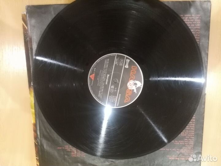 Виниловая пластинка