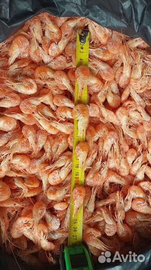 Продам креветку оптом.Азовка,черноморка