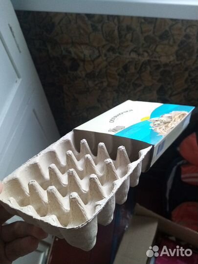 Лотки для яиц