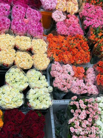 Доставка цветов / Цветы