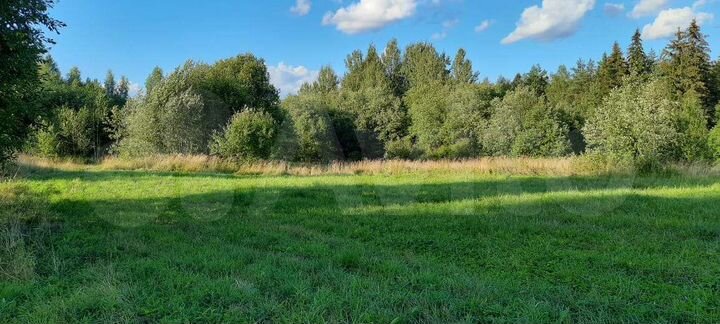 Участок 6 га (СНТ, ДНП)