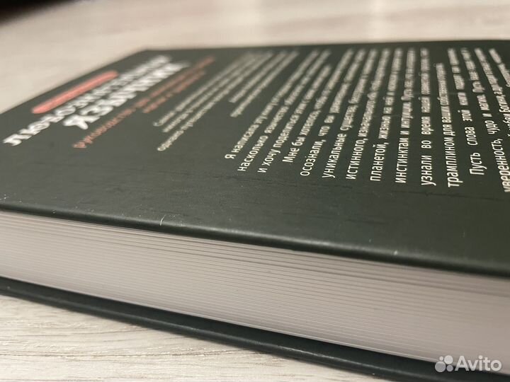 Книга: любознательный язычник