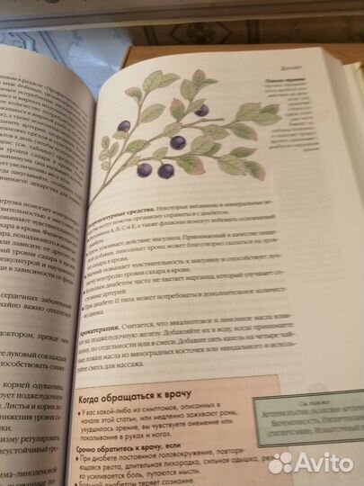 Справочник лечебный