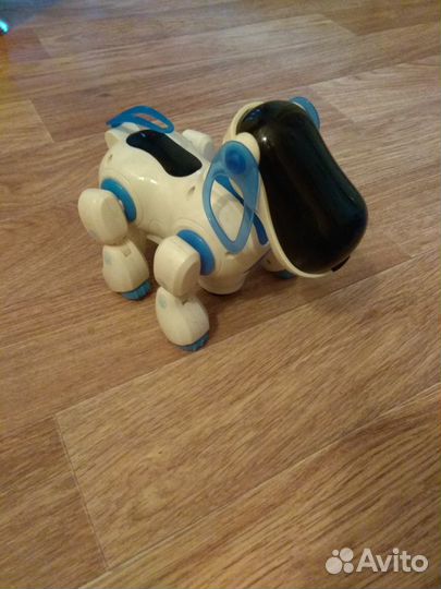 Собака робот