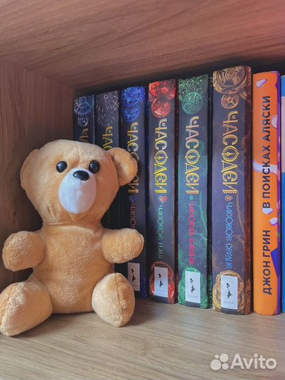 Серия книг часодеи