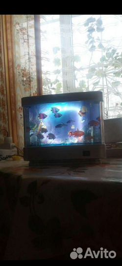 Светильник