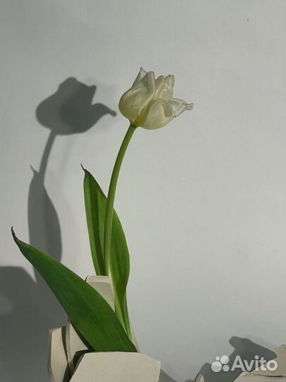 Фотограф смм