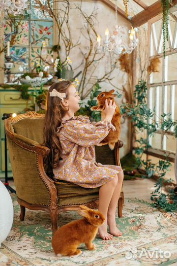 1 мая пасхальный Фотодень с кроликами и утятами