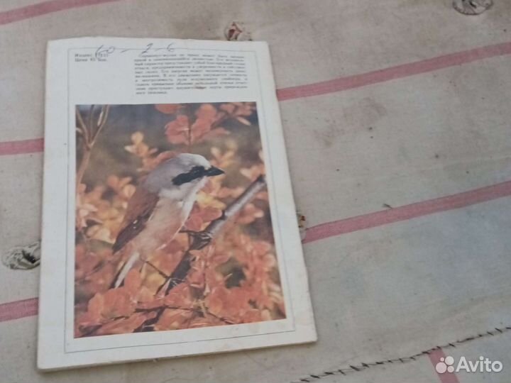 Журнал юный натуралист 9.1991г