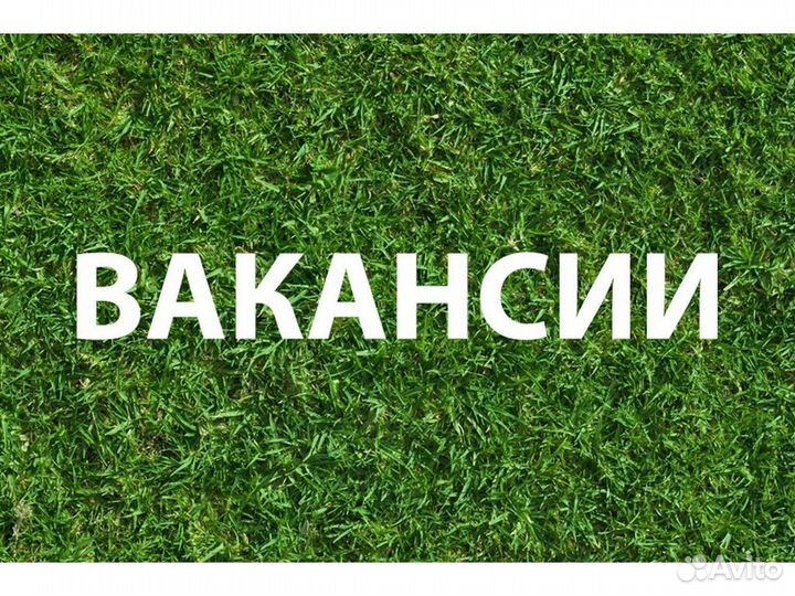 Вахта Упаковщик Аванс еженед. Проживание /Питание