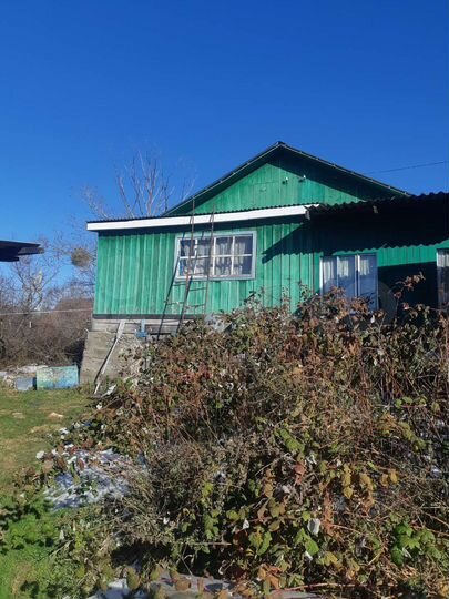 Дом 54 м² на участке 20 сот.