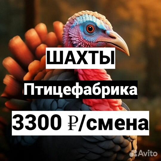 Рабочий птицефабрика в г. Шахты Ростовской области
