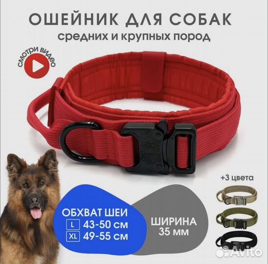 Ошейник новый