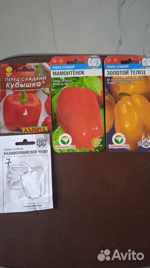 Рассада перца сладкого
