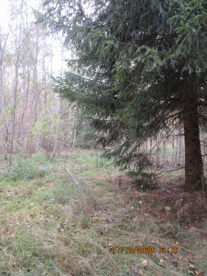 Участок 15 сот. (СНТ, ДНП)