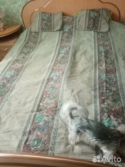 Плед покрывало