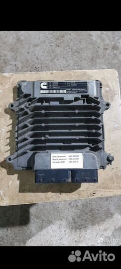 Эбу каменс газель