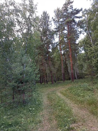 Дача 48 м² на участке 7 сот.