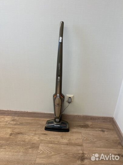Пылесос Electrolux ergorapido
