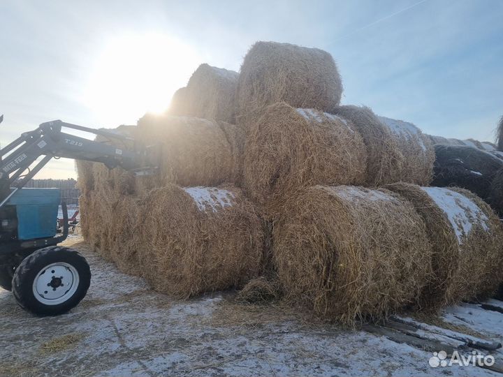 Сено,солома,кормовая солома