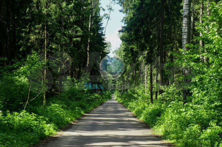 Участок 30,4 сот. (ИЖС)
