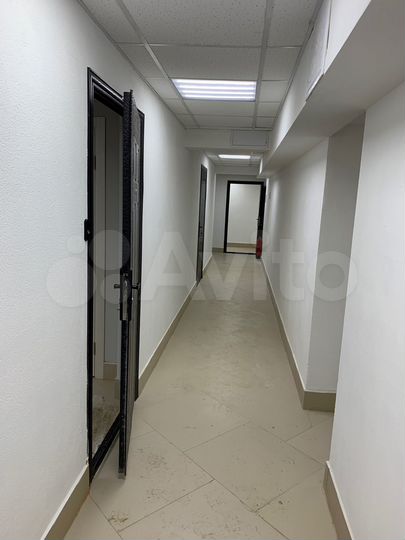 Свободного назначения, 55.5 м². Без комиссии