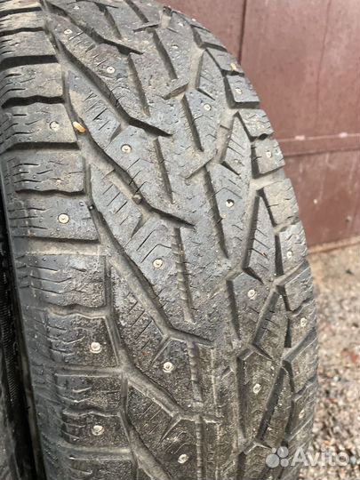 Tigar Ice 205/55 R16